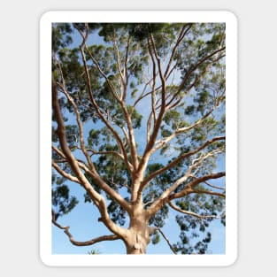 Gumtree Australia Sticker